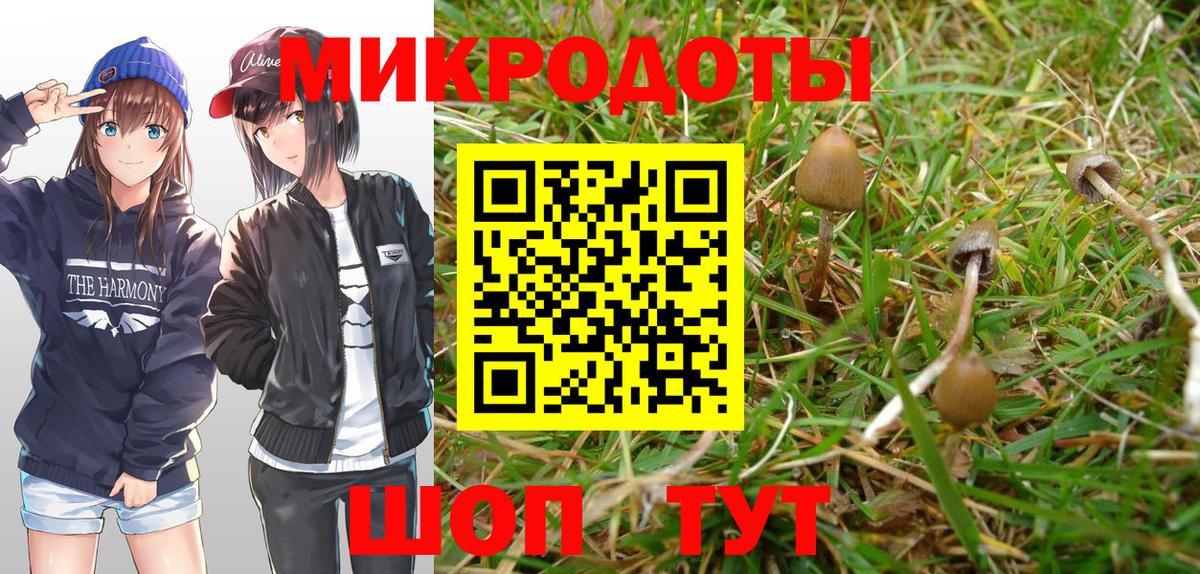 Галлюциногенные грибы GOLDEN TEACHER  Псилоцибиновые грибы Magic Shrooms  Петрозаводск  Вход с VPN 